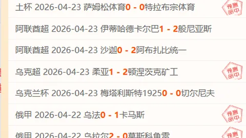 巴西甲胜利解析：科林蒂安主场让分分析